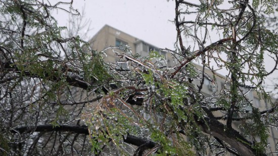 freeezing rain in Bucuresti polei in bucuresti iarna zapada viscol cod portocaliu (1) freeezing rain in Bucuresti polei in bucuresti iarna zapada viscol cod portocaliu (1)