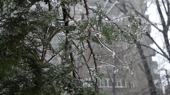 freeezing rain in Bucuresti polei in bucuresti iarna zapada viscol cod portocaliu (10) freeezing rain in Bucuresti polei in bucuresti iarna zapada viscol cod portocaliu (10)
