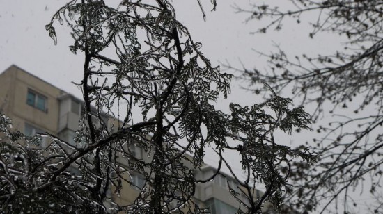 freeezing rain in Bucuresti polei in bucuresti iarna zapada viscol cod portocaliu (2) freeezing rain in Bucuresti polei in bucuresti iarna zapada viscol cod portocaliu (2)