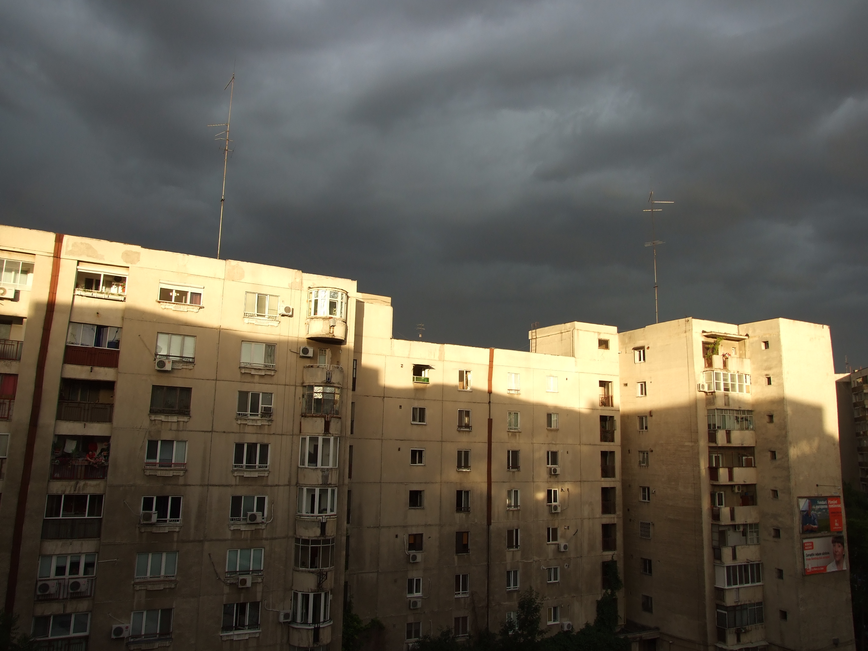 DSCF1330