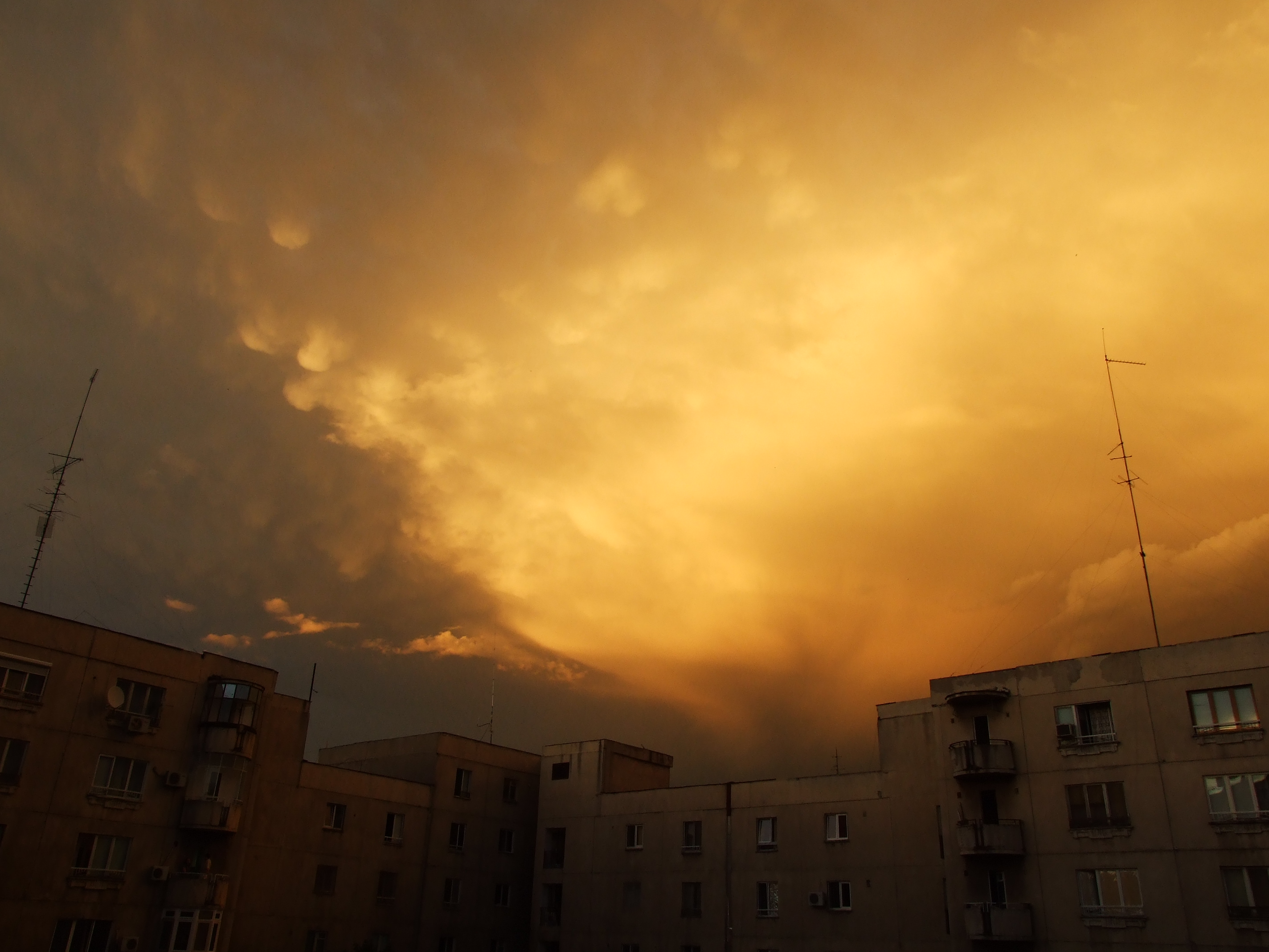 DSCF1399