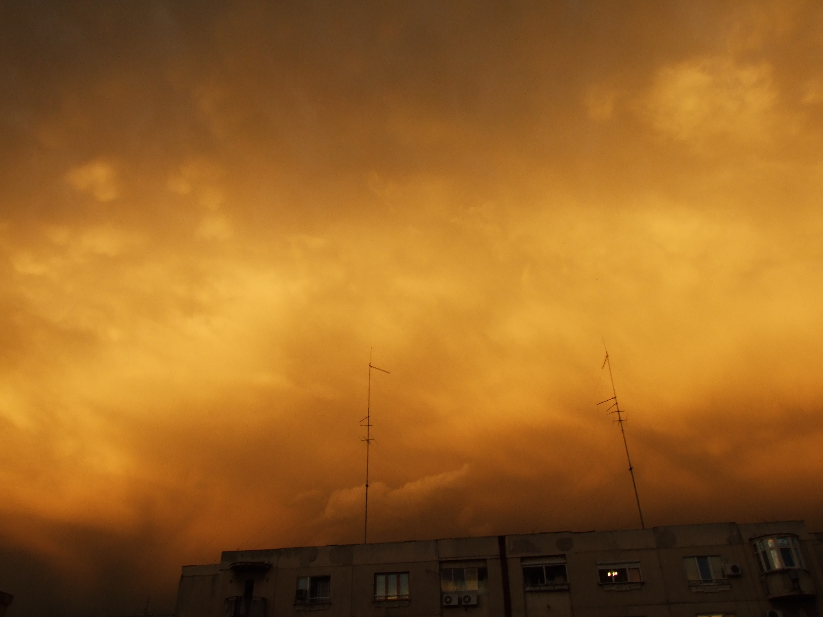 DSCF1404