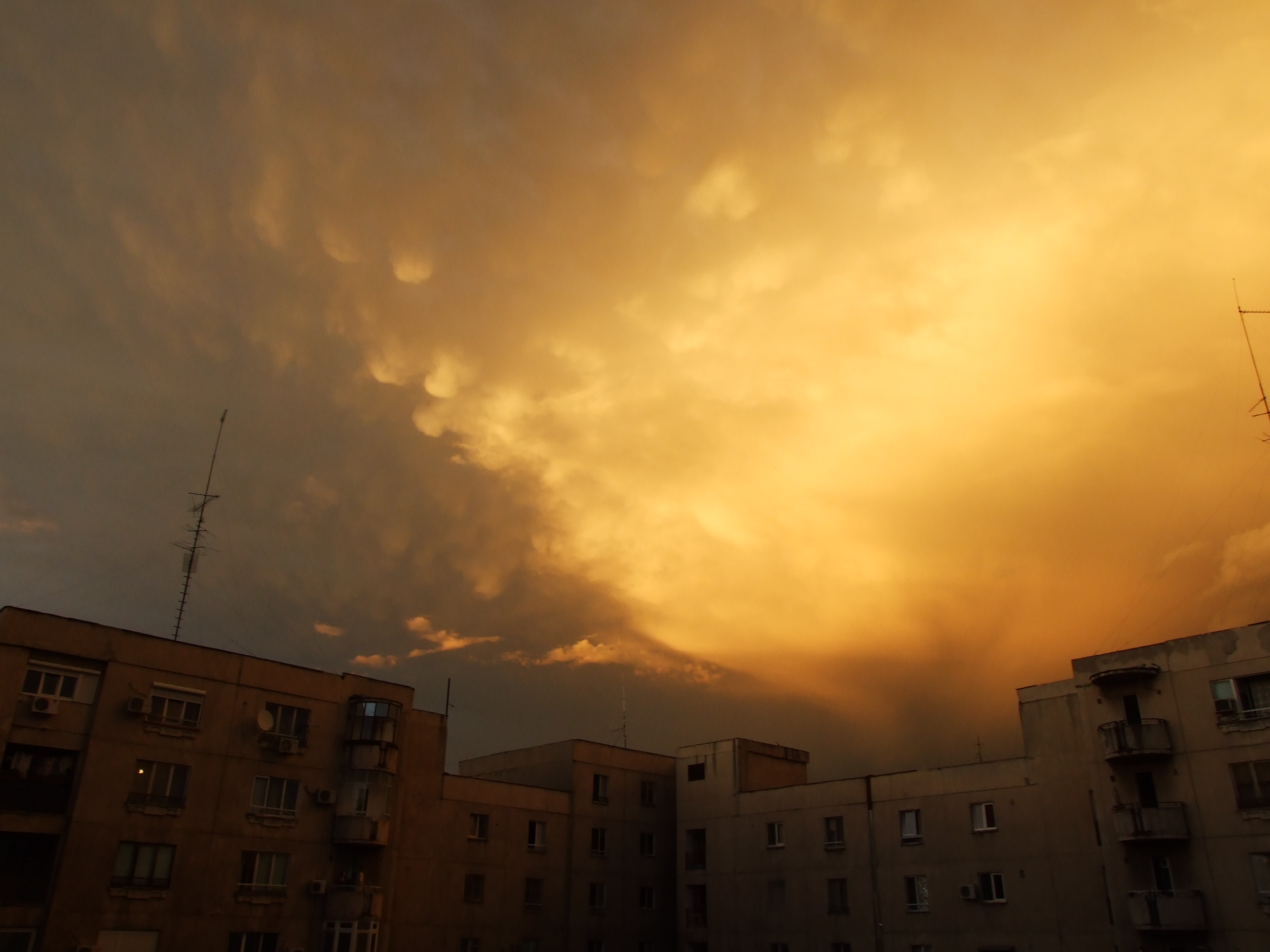DSCF1406