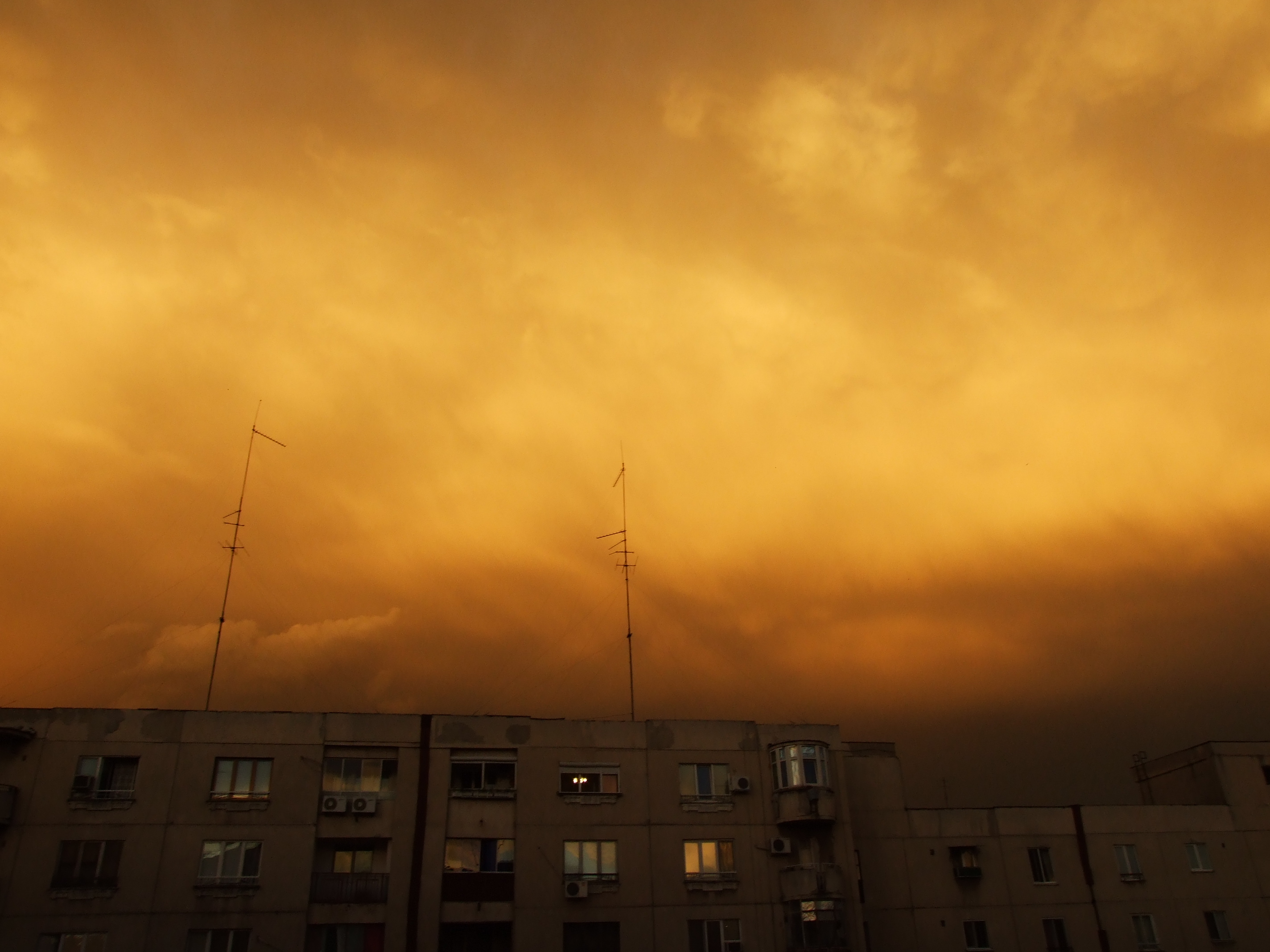 DSCF1411
