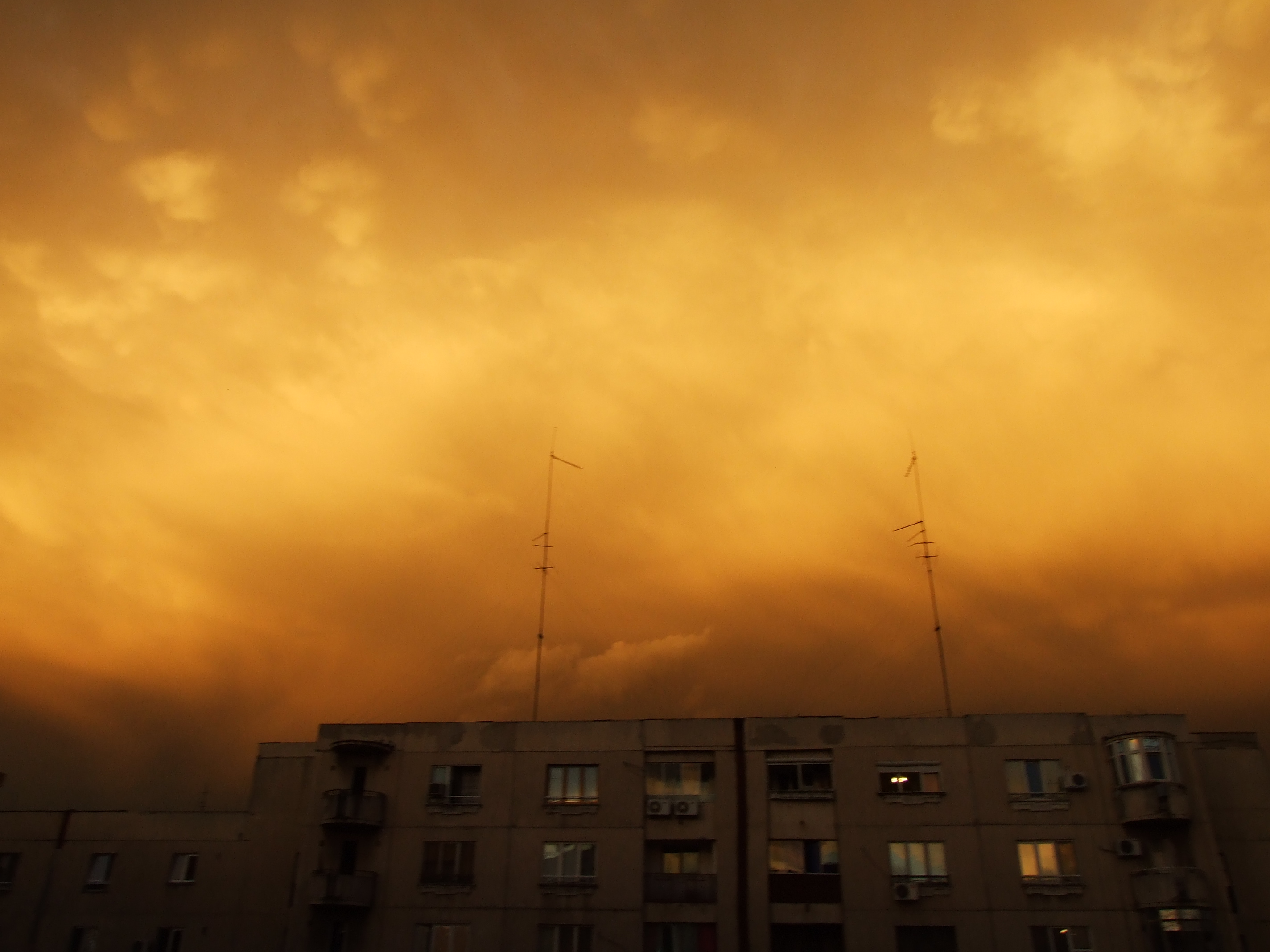 DSCF1423