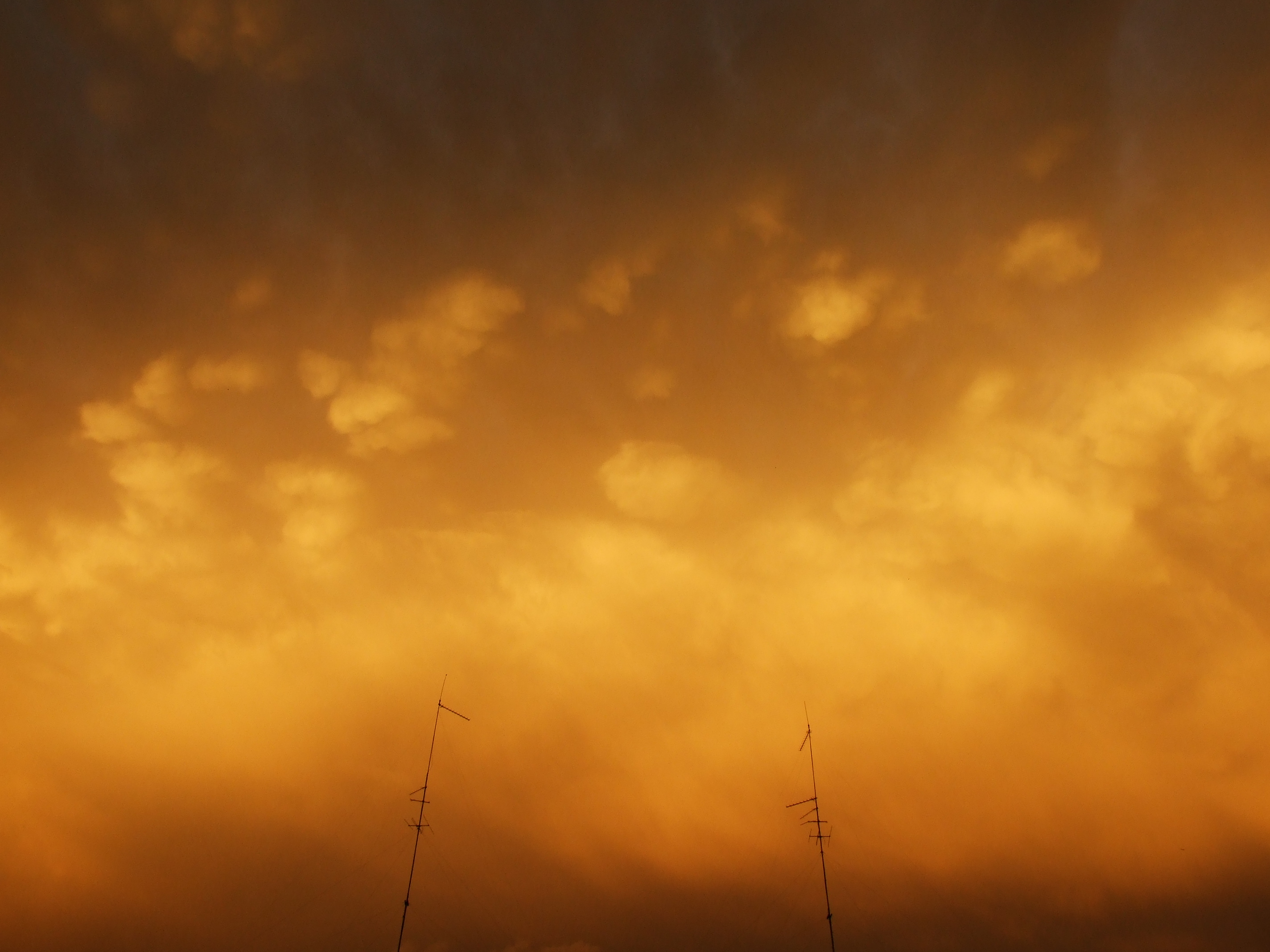 DSCF1438
