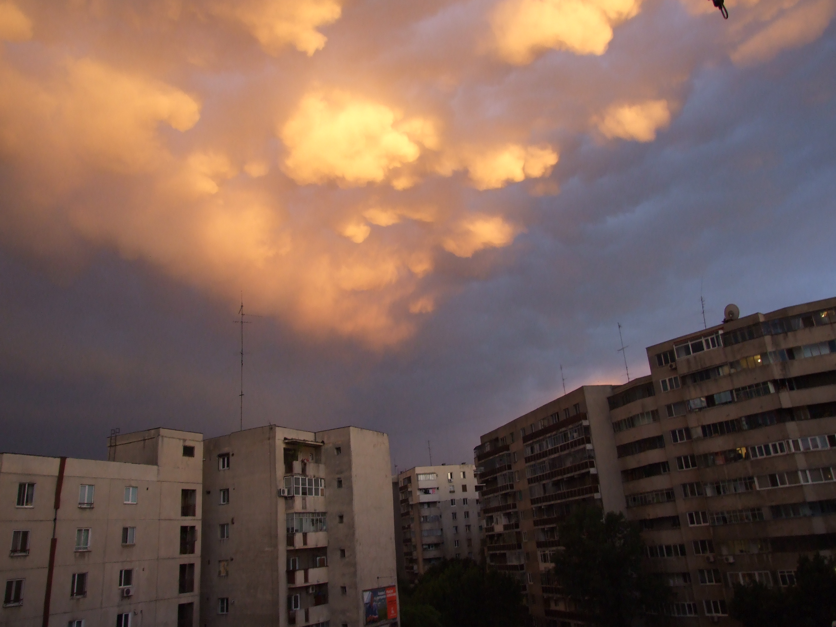 DSCF1459
