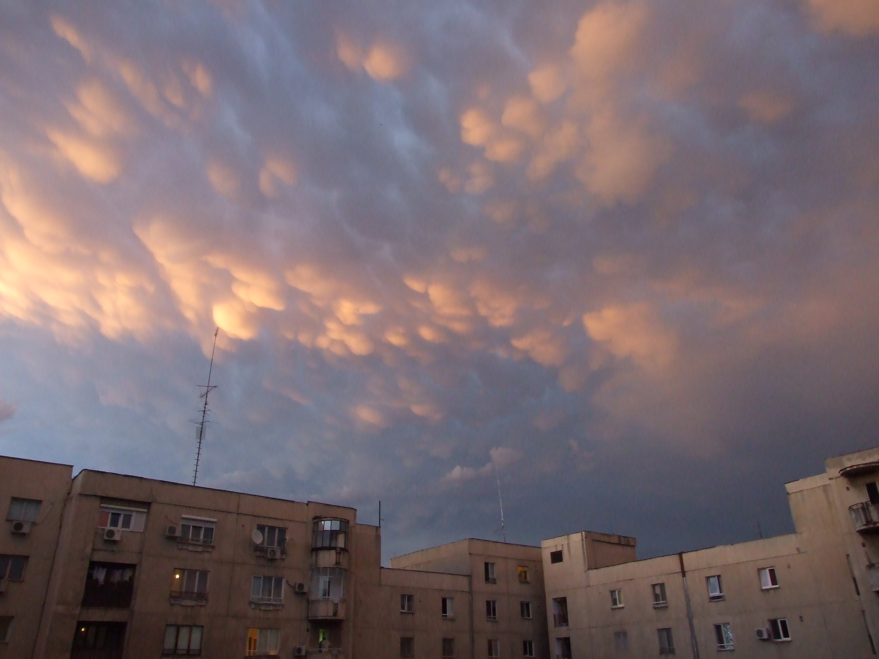 DSCF1465