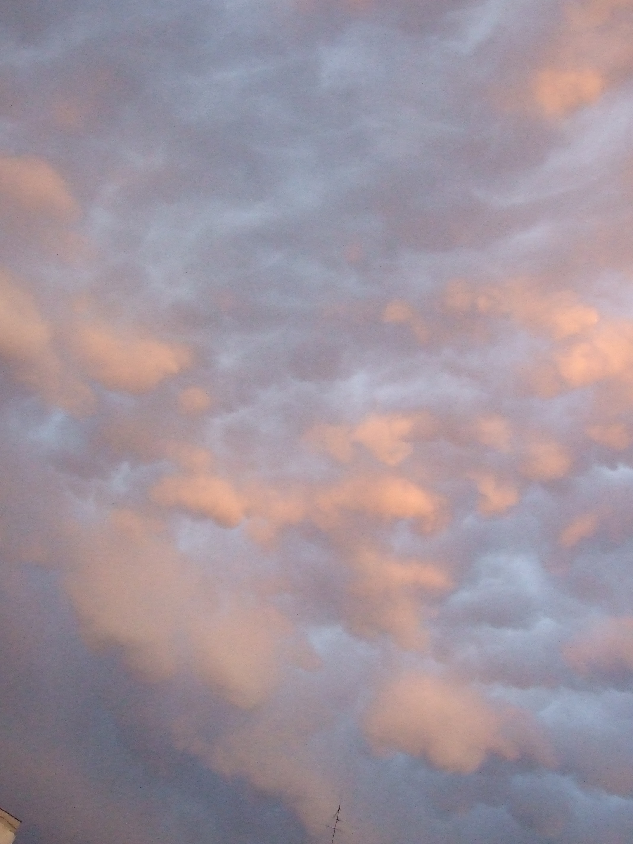 DSCF1474