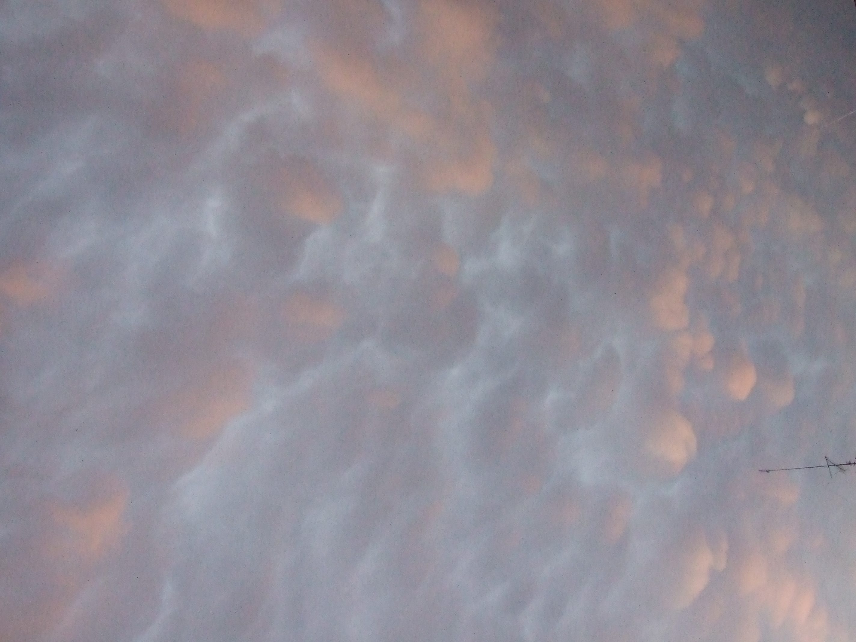 DSCF1489