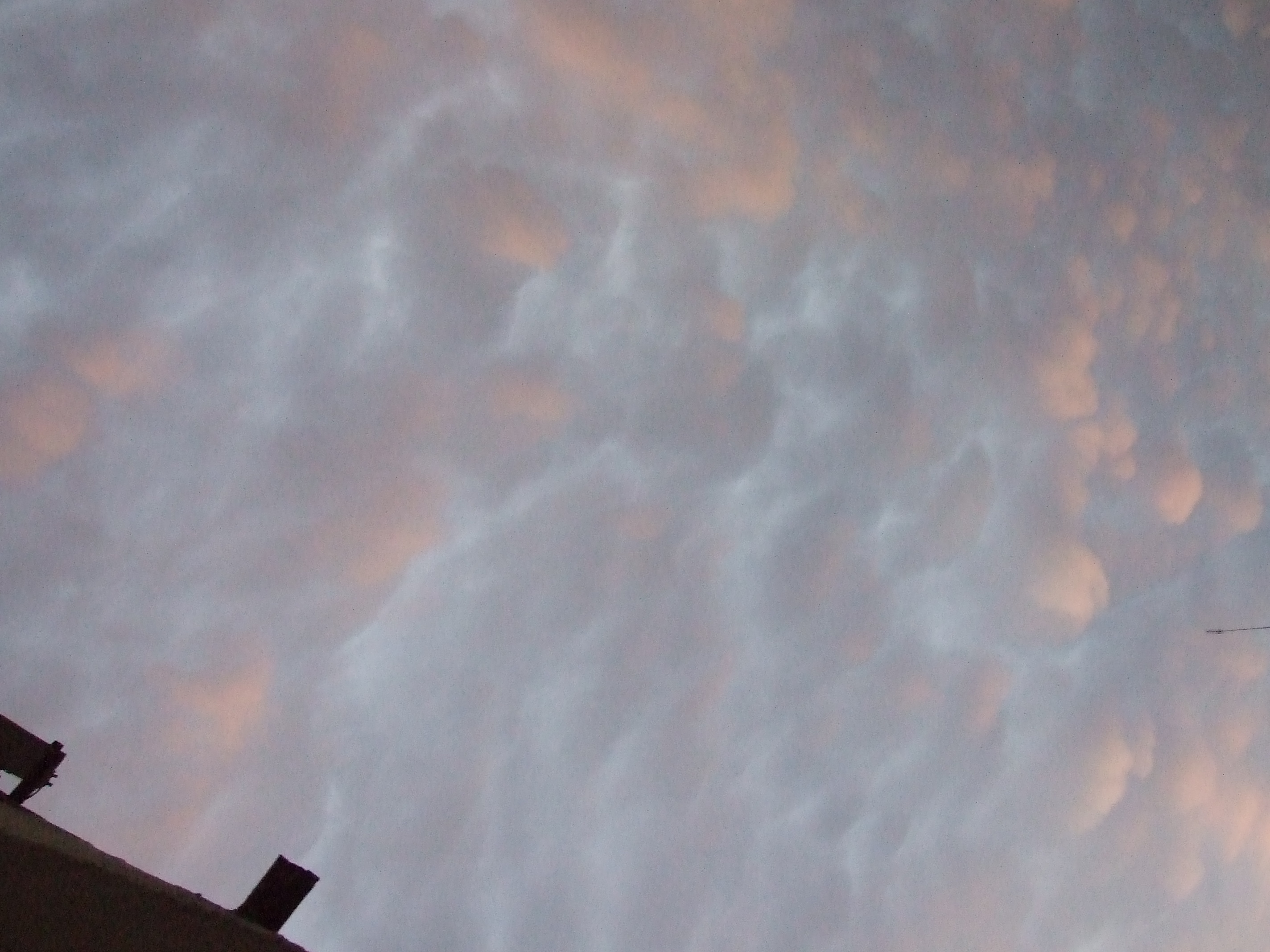 DSCF1490