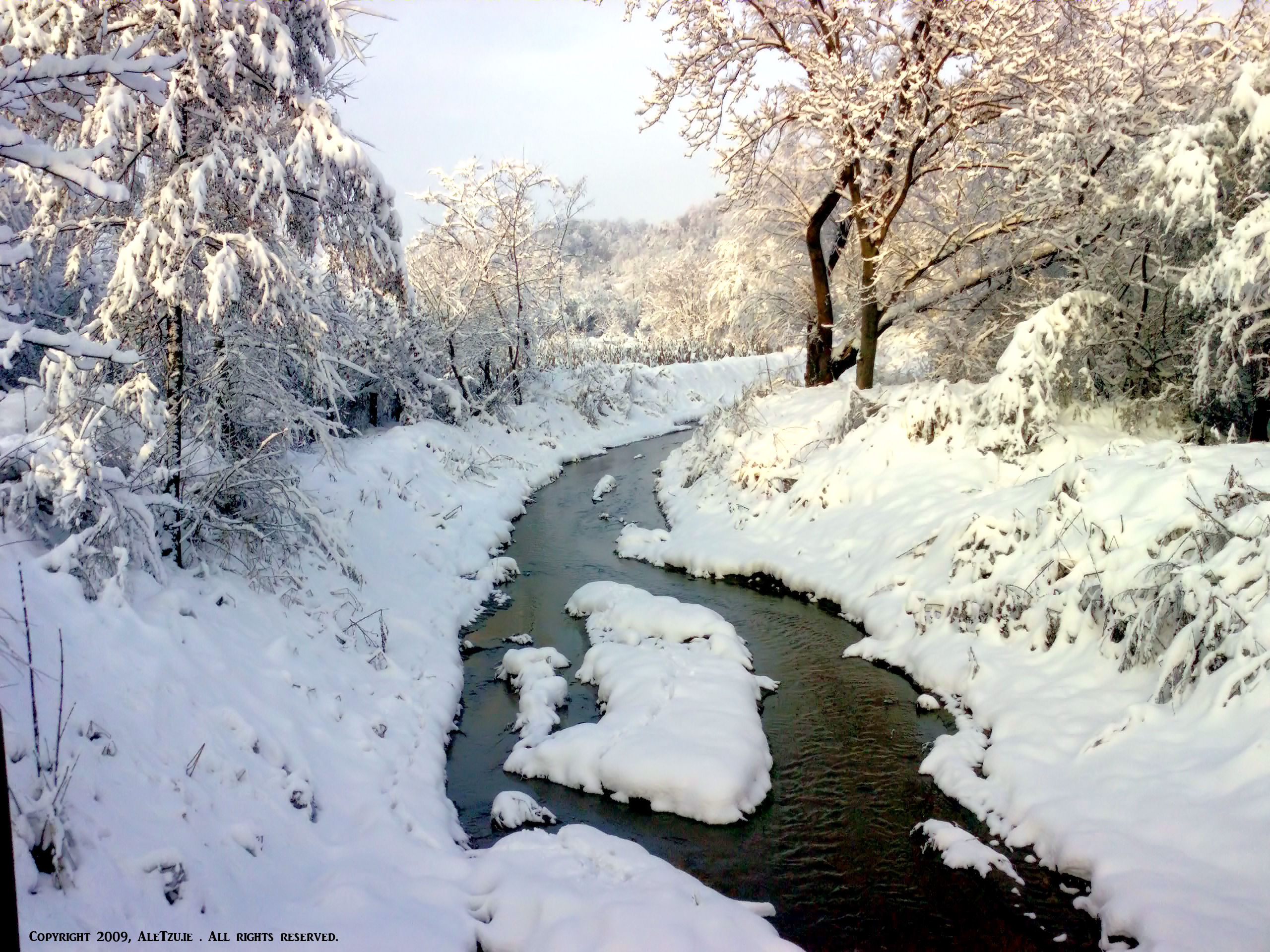 26 AleTzu.ie Concurs Piticu.ro