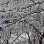 freeezing rain in Bucuresti polei in bucuresti iarna zapada viscol cod portocaliu 108