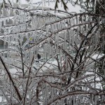 freeezing rain in Bucuresti polei in bucuresti iarna zapada viscol cod portocaliu 112