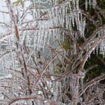 freeezing rain in Bucuresti polei in bucuresti iarna zapada viscol cod portocaliu 114