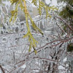 freeezing rain in Bucuresti polei in bucuresti iarna zapada viscol cod portocaliu 116