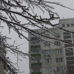 freeezing rain in Bucuresti polei in bucuresti iarna zapada viscol cod portocaliu 140