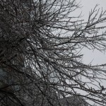freeezing rain in Bucuresti polei in bucuresti iarna zapada viscol cod portocaliu 141
