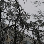 freeezing rain in Bucuresti polei in bucuresti iarna zapada viscol cod portocaliu 2