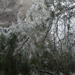 freeezing rain in Bucuresti polei in bucuresti iarna zapada viscol cod portocaliu 8