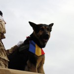 Parada militara 1 decembrie 2012 ziua romaniei bucuresti 2671
