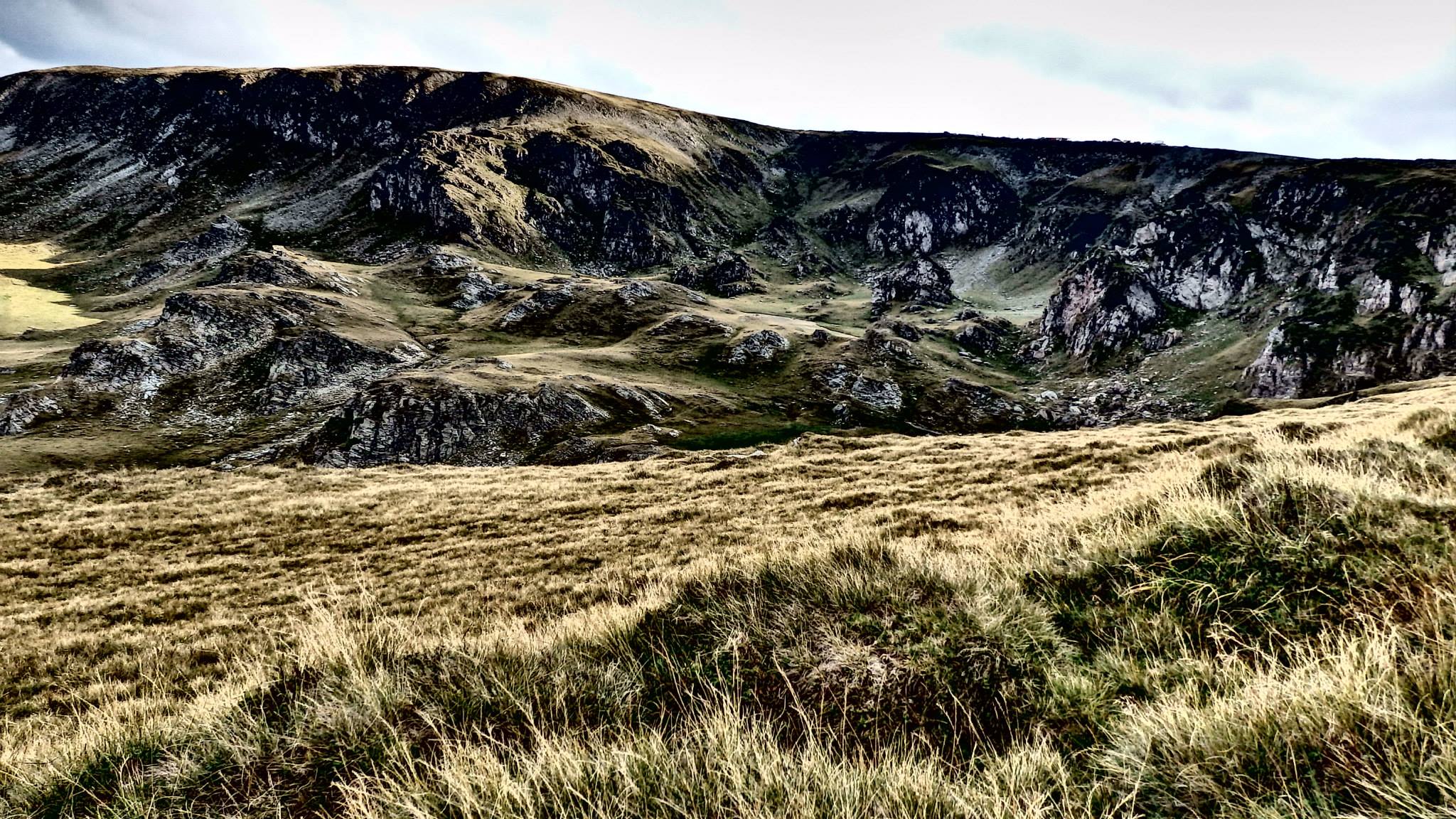 1276683 10201678456313470 165649136 o