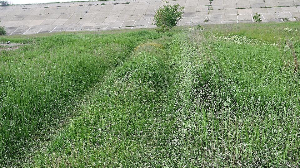 delta bucuresti lacul vacaresti 527