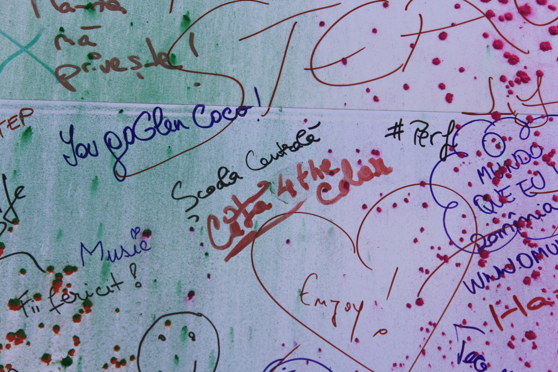 The color run septembrie bucuresti 2014 2071