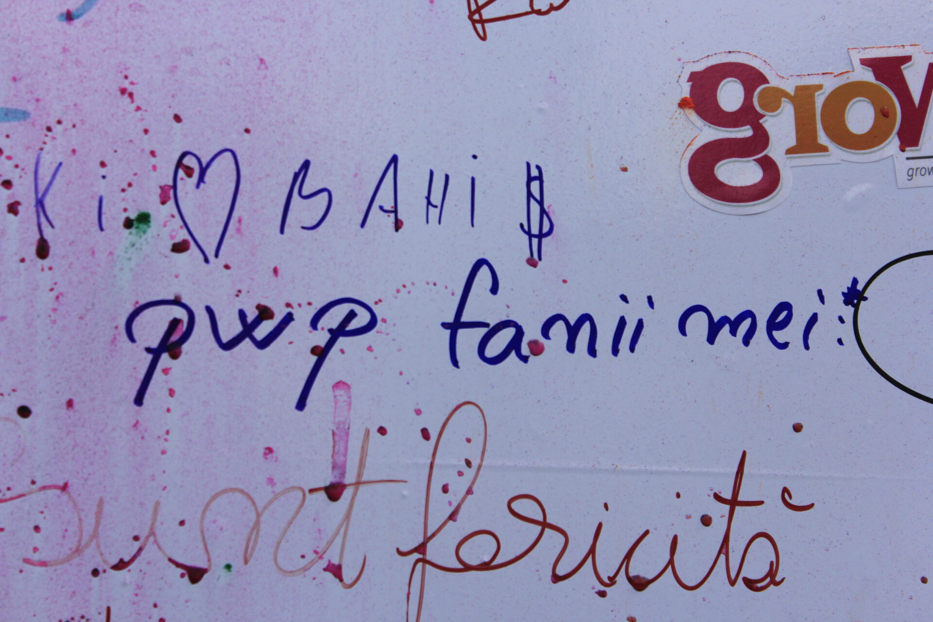 The color run septembrie bucuresti 2014 2075