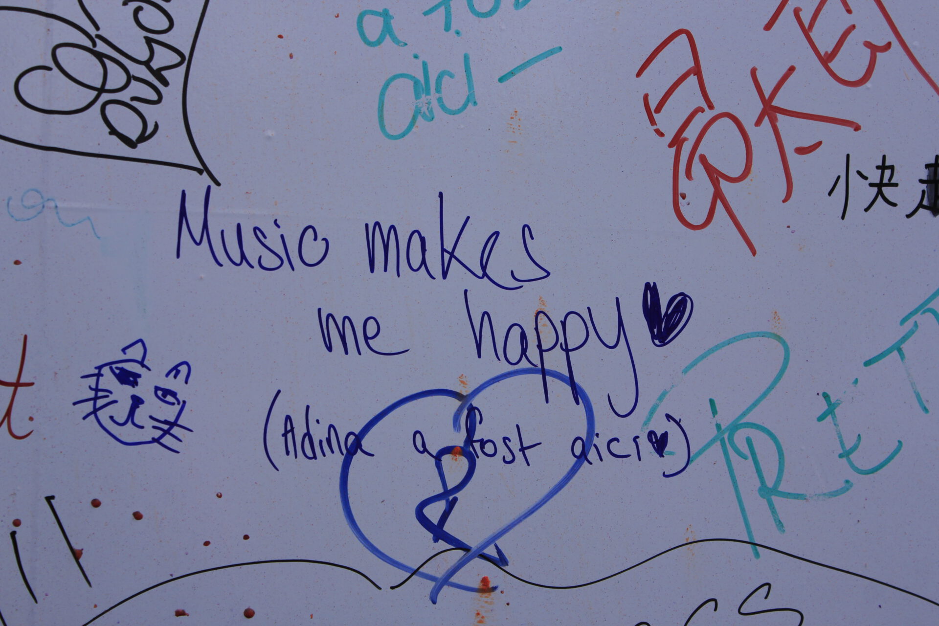 The color run septembrie bucuresti 2014 2077